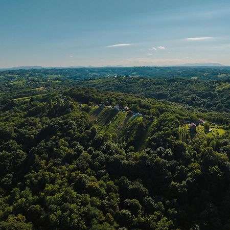 Holiday Home Wine & Relax Sveti Martin Na Muri Gornji Koncovcak Екстериор снимка