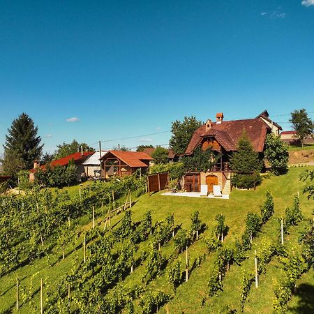 Holiday Home Wine & Relax Sveti Martin Na Muri Gornji Koncovcak Екстериор снимка