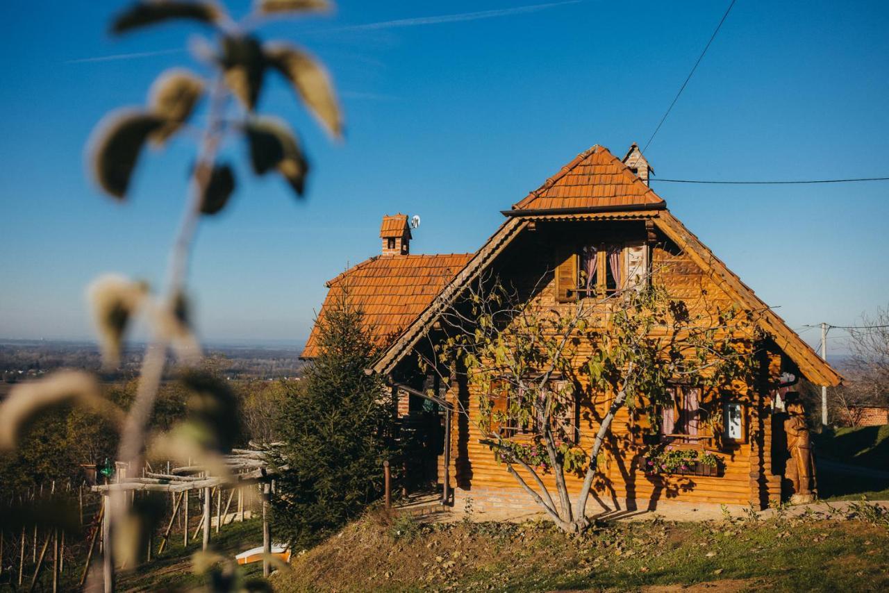 Holiday Home Wine & Relax Sveti Martin Na Muri Gornji Koncovcak Екстериор снимка