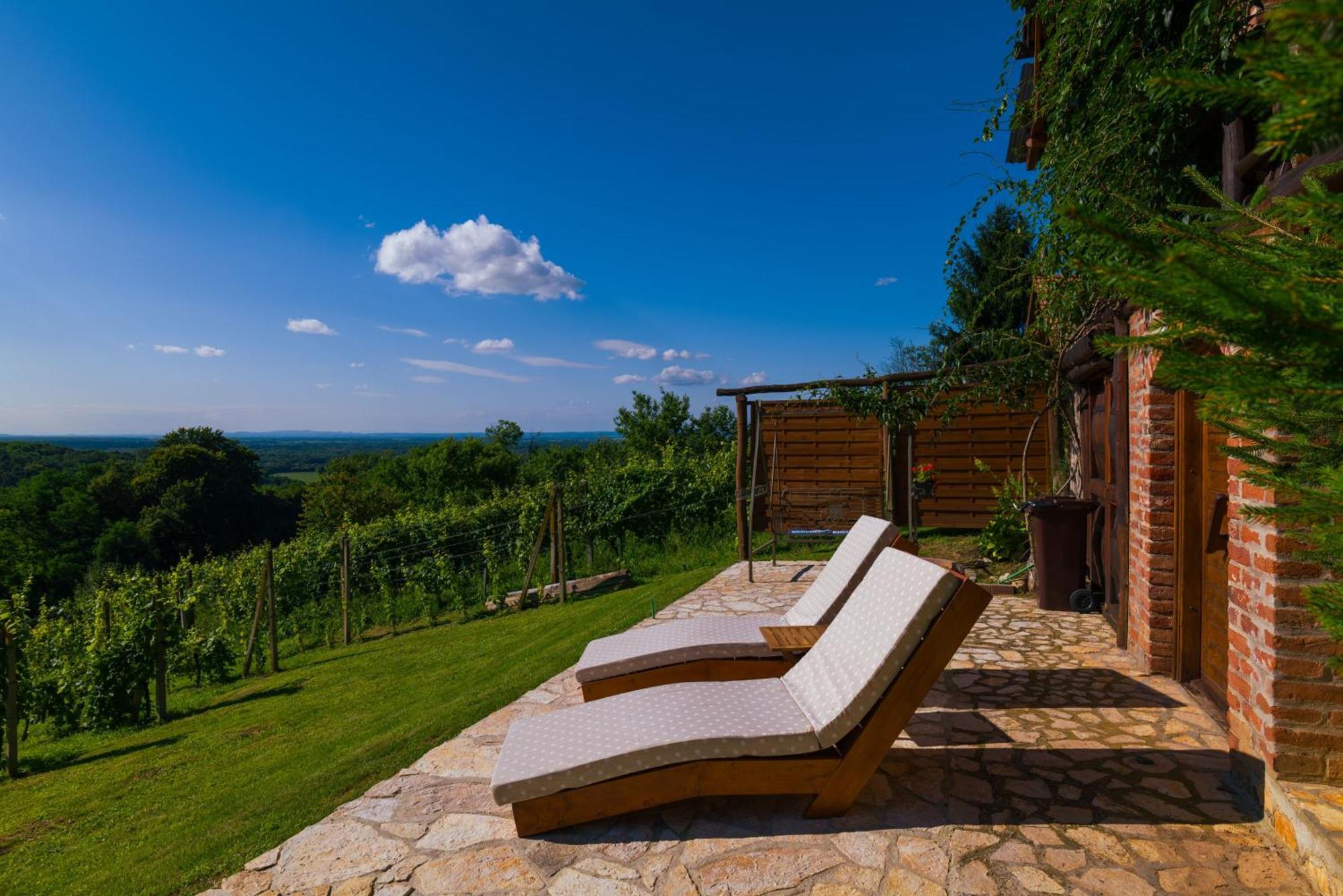 Holiday Home Wine & Relax Sveti Martin Na Muri Gornji Koncovcak Екстериор снимка