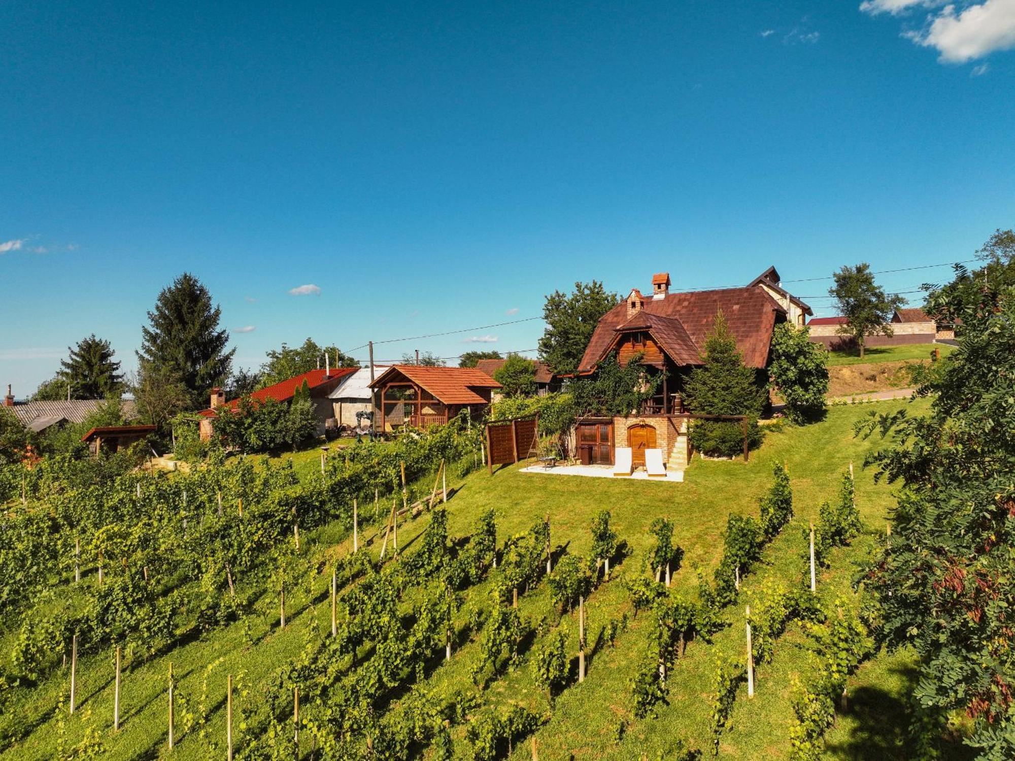 Holiday Home Wine & Relax Sveti Martin Na Muri Gornji Koncovcak Екстериор снимка