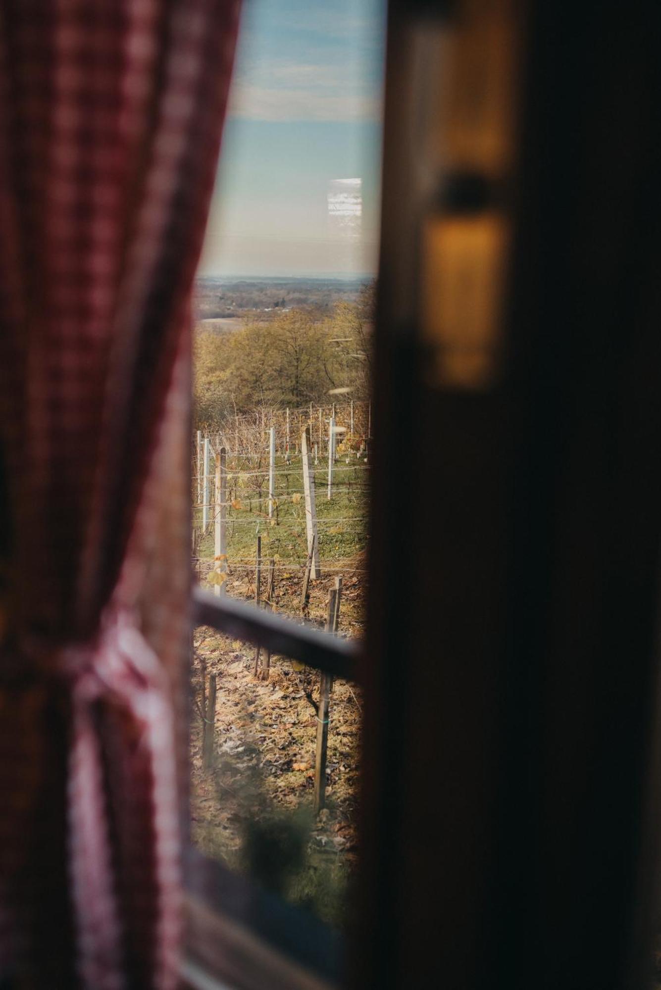 Holiday Home Wine & Relax Sveti Martin Na Muri Gornji Koncovcak Екстериор снимка