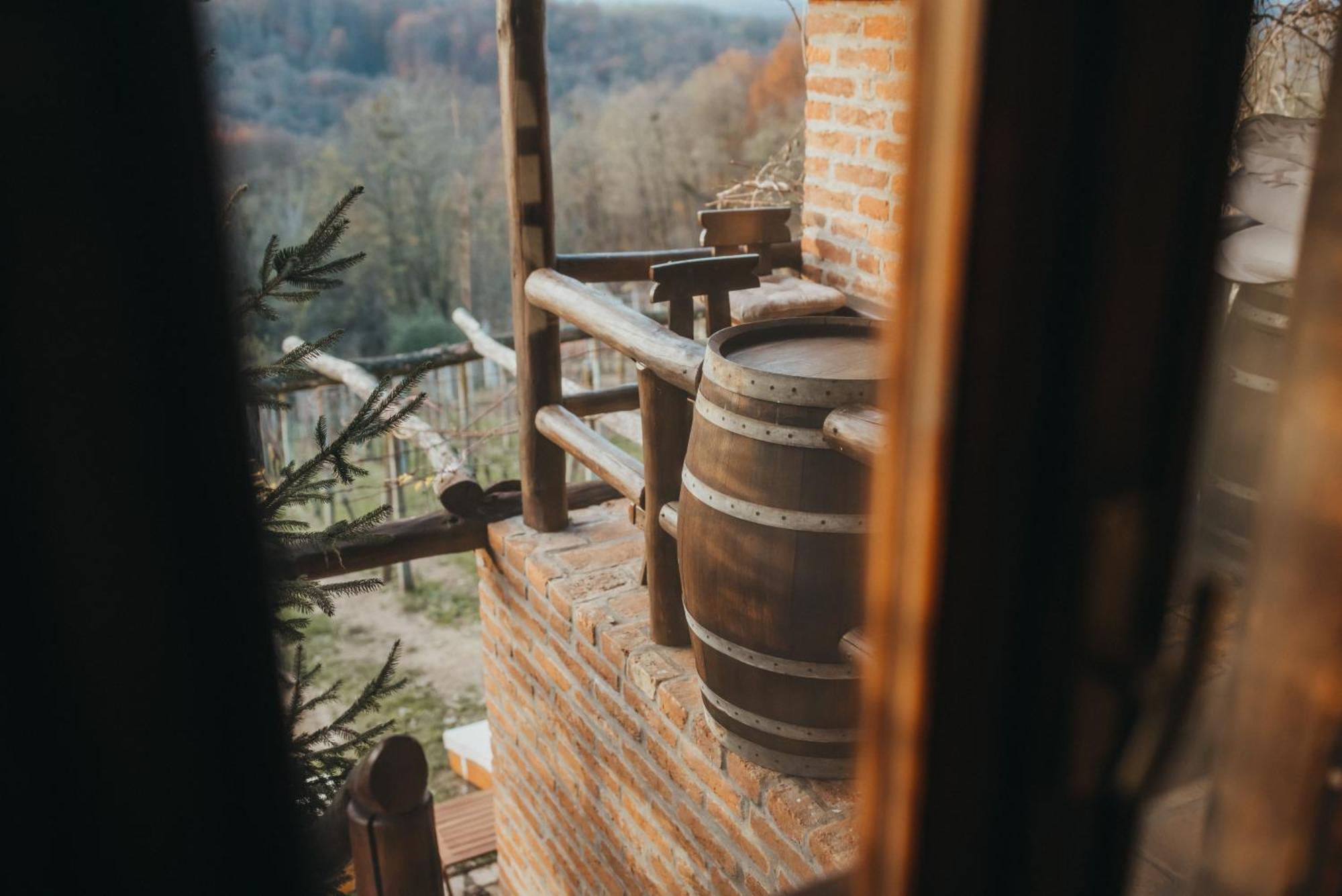 Holiday Home Wine & Relax Sveti Martin Na Muri Gornji Koncovcak Екстериор снимка
